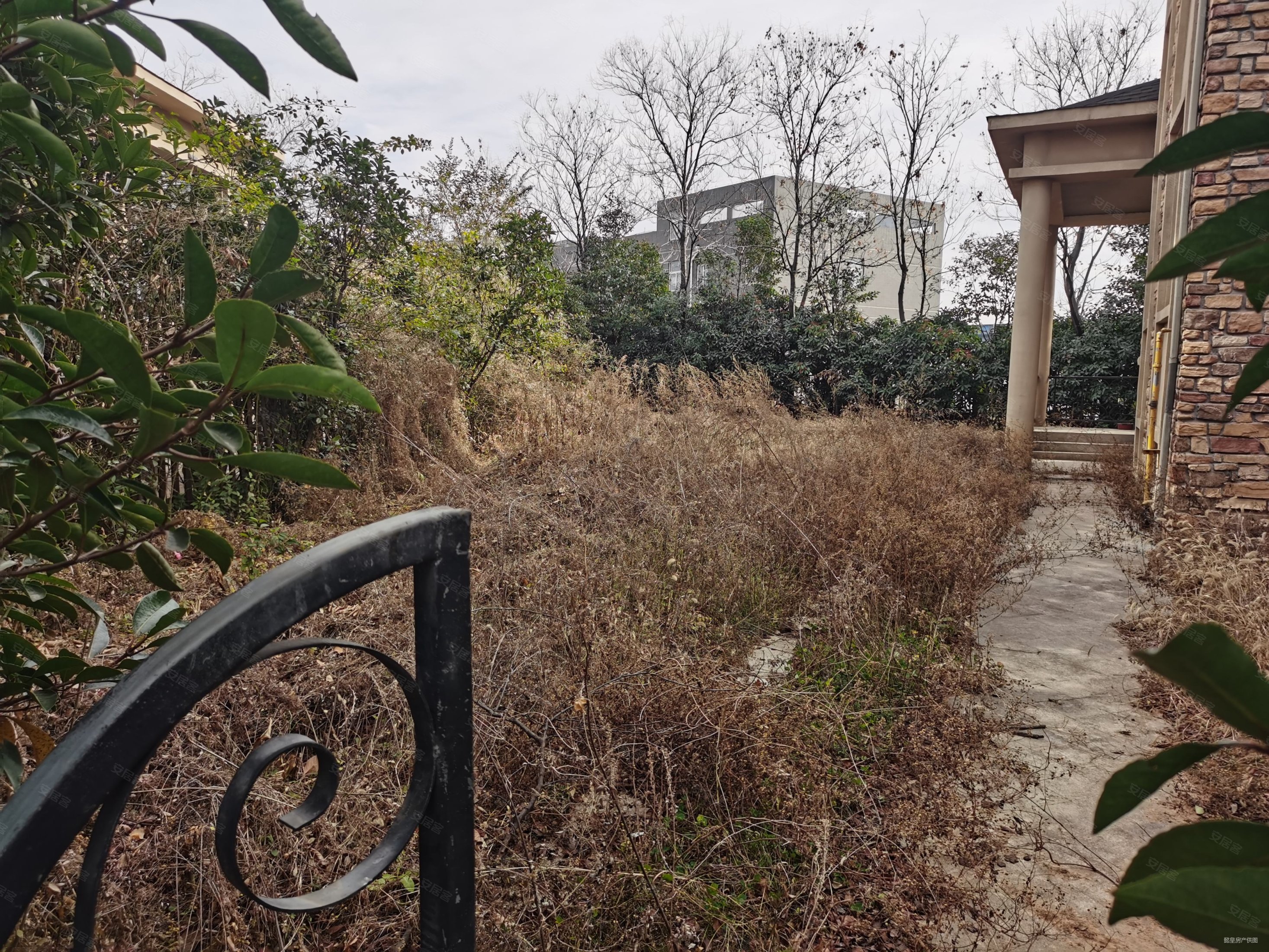 洛阳市区周山森林公园里面 金十香樟林 别墅带200平花园,金十香樟林