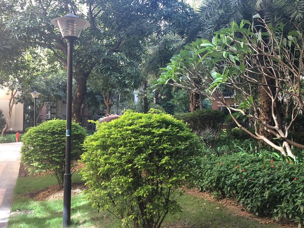 广州花都狮岭狮城国际干净整齐 狮城国际 东南向 2房2厅 拧包入住出租