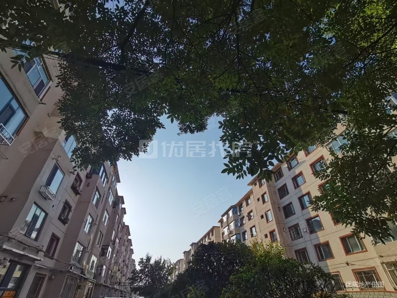 农大西区家属院3室2厅1卫88㎡南北185万