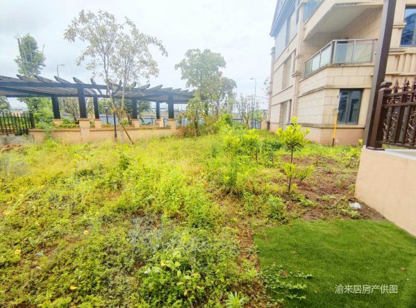 金阳第一农场大学城别墅