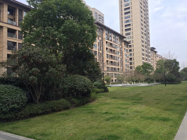 昆山花桥赛格电子城中城花园雅菊苑兆丰地铁 中城花园雅菊苑 精装修3