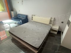 石狮石狮周边蚶江我是房主德辉老荣誉电梯超单间方便停车拎包入住专人管理出租房源真实图片