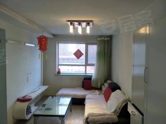米东新城一期 单身公寓 拎包入住 冬暖夏凉