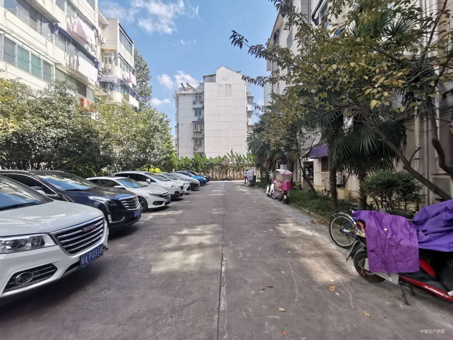 杏花公园旁蒙城路交阜南路5号地铁口罗兰德小区 3室1厅1卫