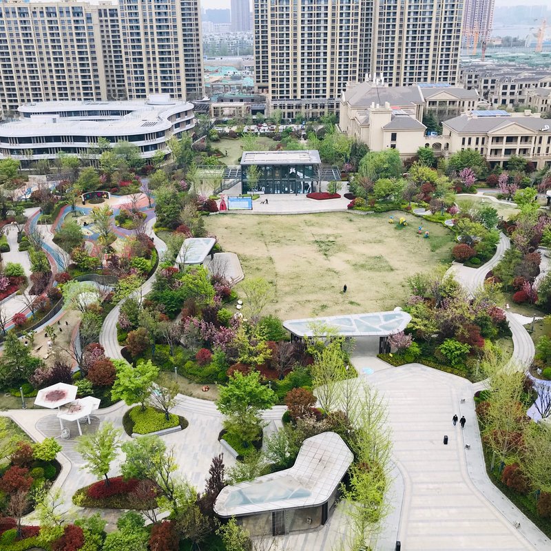白鹭金岸