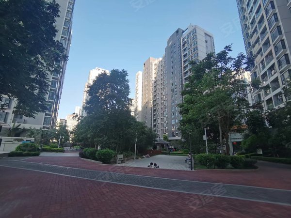 【多图】崇文花园,大学城租房,南山西丽大学城塘朗地铁口 崇文花园