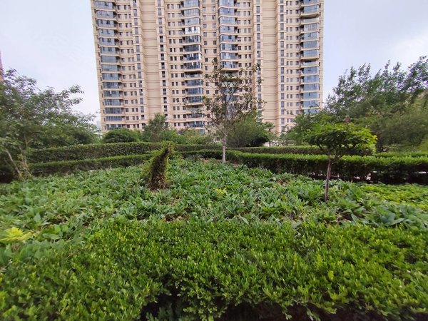 郑州金水曼哈顿曼哈顿广场曼哈顿广场燕庄地铁口大三室南北通透精装修
