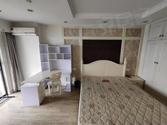 张家港杨舍杨舍中心天霸商务馆 1室1厅1卫  精装修53平米出租房源真实图片