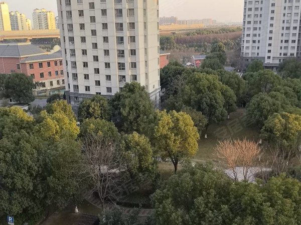 【多图】华亭茗苑,九亭租房,漕河泾园区,精装两房,客厅带阳台,电梯房