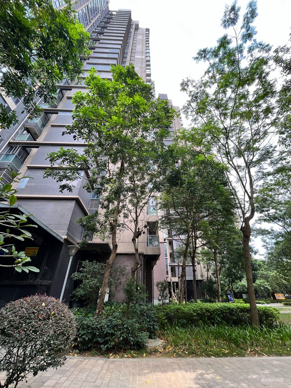 东莞房产网>东莞二手房>塘厦二手房>新开发区二手房>金众金域半山>