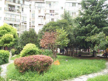 汇龙花园,正义路30号 - 武汉汇龙花园二手房,租房,房价-武汉安居客