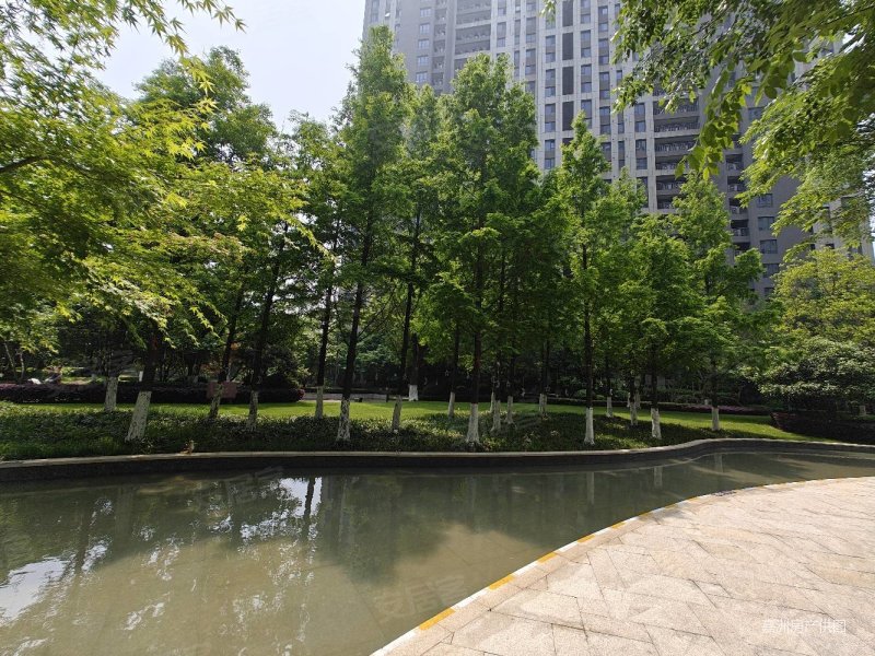 仁恒绿洲新岛江枫园3室2厅2卫135㎡南北488万