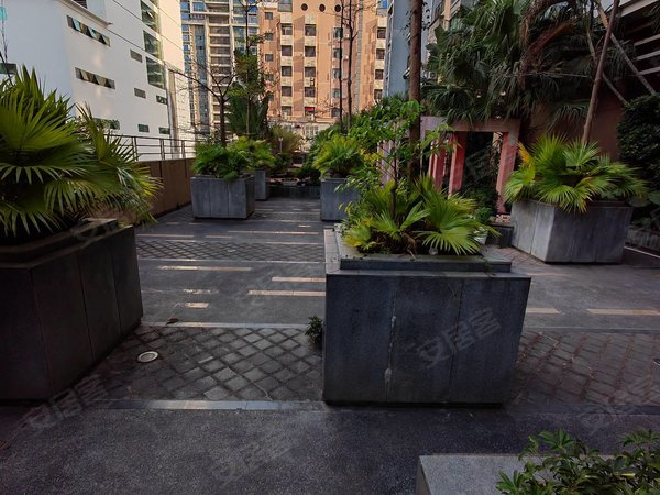 深圳龙华龙华丹枫雅苑中英文学校 新华中学 丹枫雅苑 空中花园小区 双