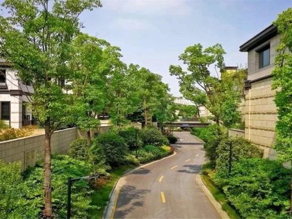 一品漫城(四期别墅),芦恒路378弄1-140号 - 上海一品漫城(四期别墅)