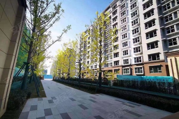 淄博小区 张店小区 华润实验小学,儿童公园,人民公园小区 天鸿万象