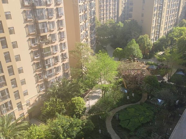 昆明安居客>昆明租房>官渡租房>新亚洲体育城租房>万景园>万景园租房>