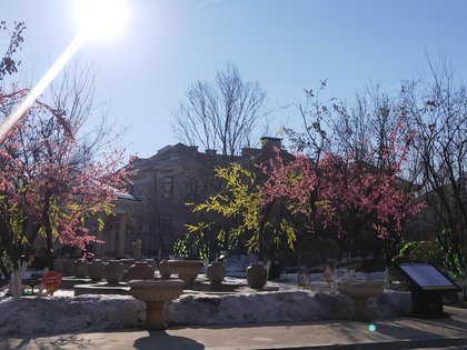 天茂凡尔赛庄园