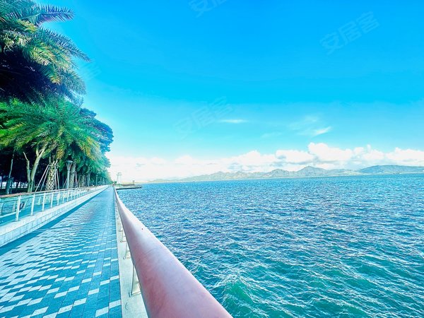 【多图】半岛城邦(四期),蛇口租房,今日新出 高层海景2房,客厅卧室全