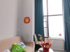 成都锦江三圣乡三圣乡温馨loft，可随时看，押一付一，费用月付出租房源真实图片