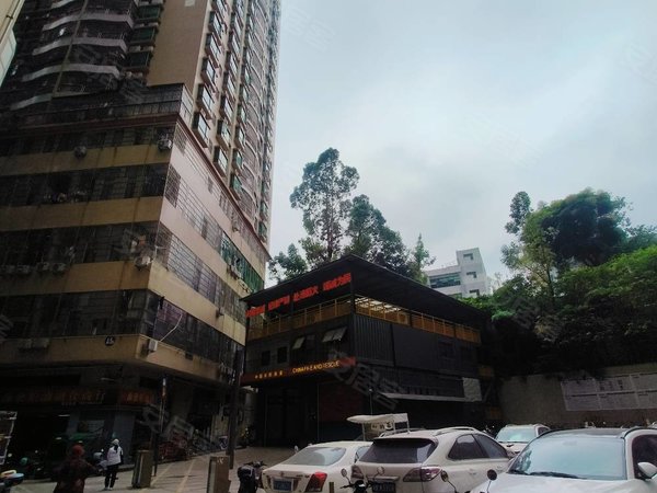 南岭租房,荔枝花园 高层外景两房两厅 光线充足 民水民电,布吉租房