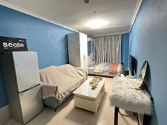 乌鲁木齐沙依巴克阿勒泰路阿勒泰路精装公寓 可押一付一 可短租 可日租 带空调出租房源真实图片