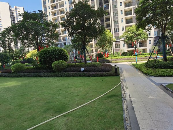 佛山顺德容桂碧桂园凤凰湾容桂碧桂园凤怡苑 全屋齐全温馨舒适 即住房