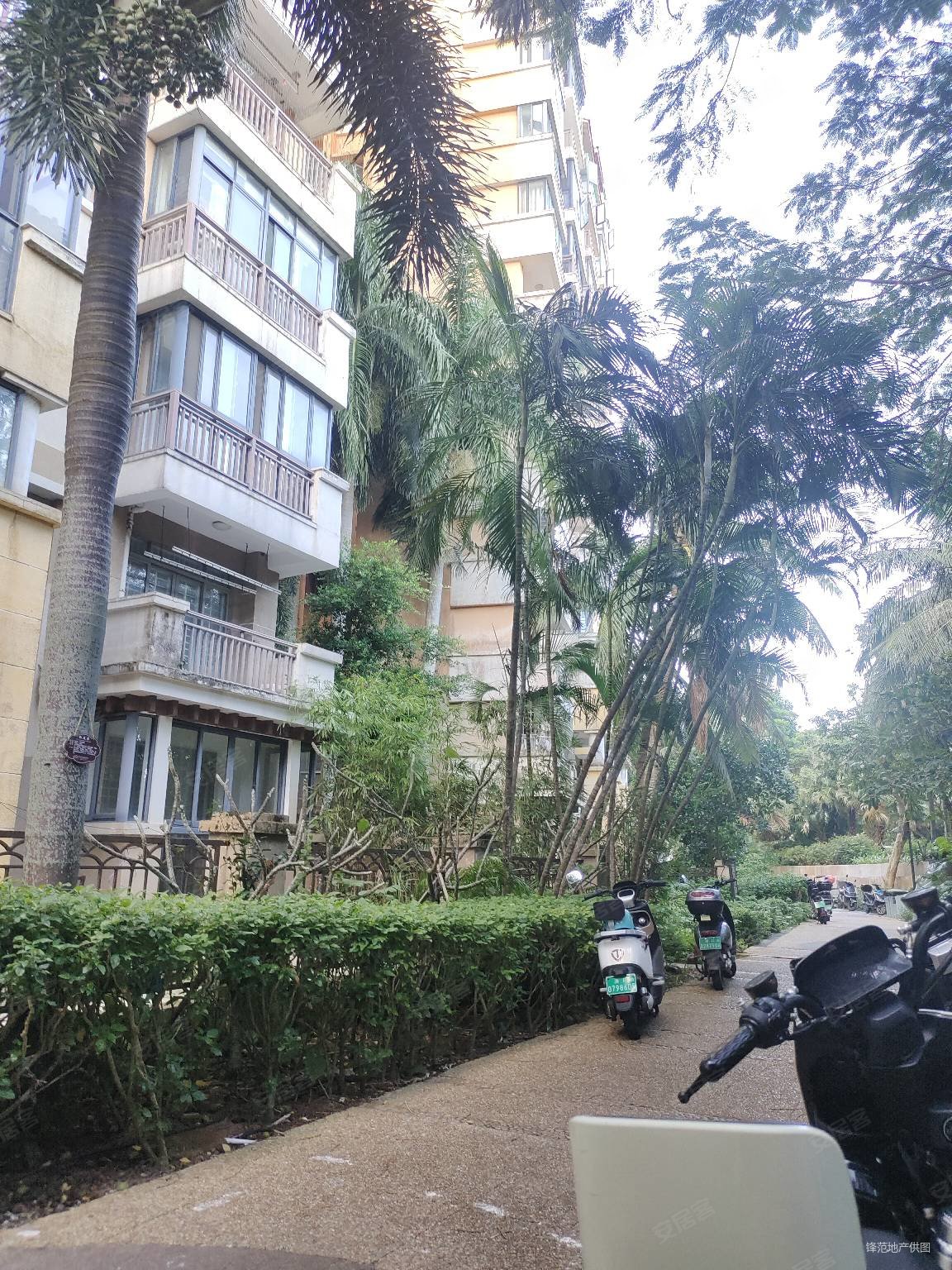 海口新埠岛大型小区新世界花园正规大3房小区环境优美