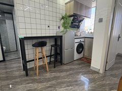 上海闵行华漕虹桥商务区附近，爱博二村一房带厅可做两房一厅，双燃气，采光好出租房源真实图片