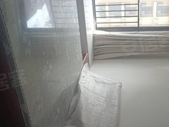 周口川汇东新区碧桂园天玺湾一期 3室1厅2卫出租房源真实图片