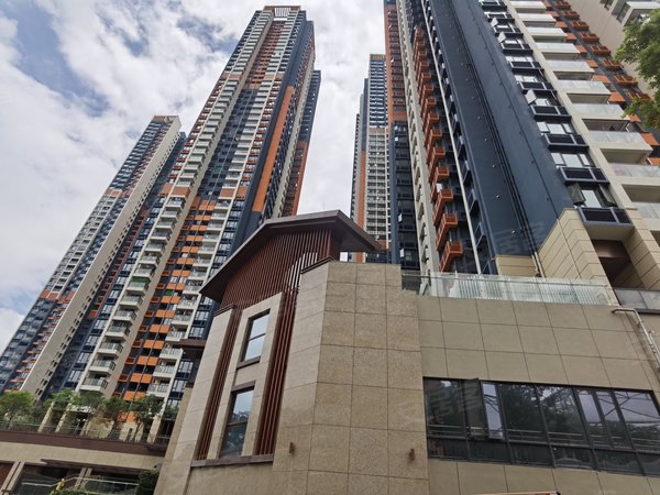 深圳罗湖布心观山盛苑罗湖全新小区 全新精装出租 看房方便 视野好