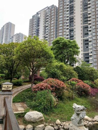 华南城二期隆祥苑南北通透三房 中上楼层 房东诚心出售价格便宜