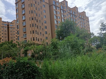 临沂小区 莒南小区 卧佛寺旅游区小区 国鑫富民小区11216元/m莒南