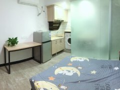 上海闵行颛桥步行地铁站独立厨卫一室户出租房源真实图片