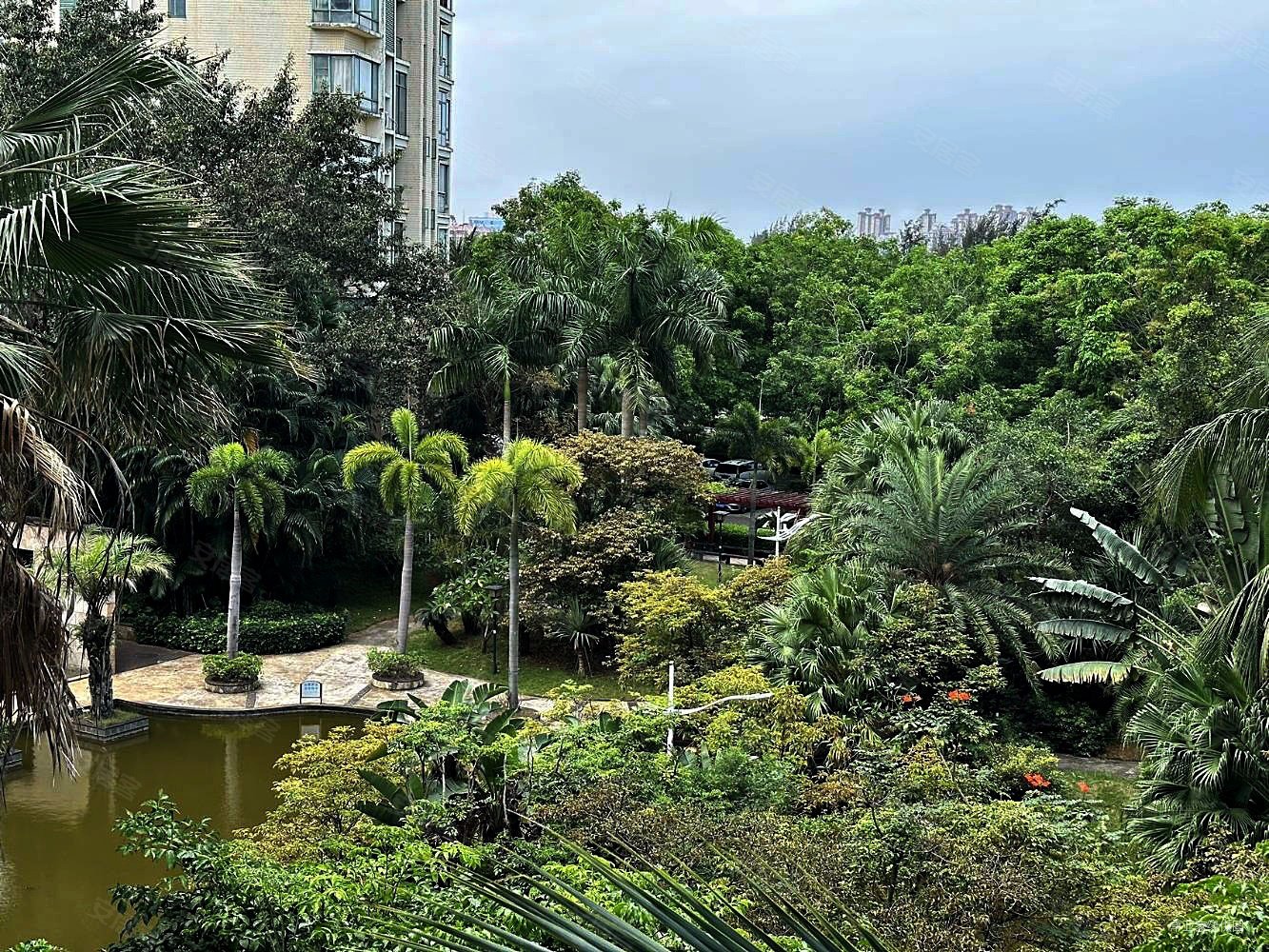 滨海九小海口湾金外滩花园小高层4房毛坯南北通透