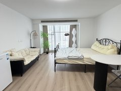 南京浦口桥北桥北金象商业广场精装公寓 可商可住 靠近江畔明珠海德北岸出租房源真实图片