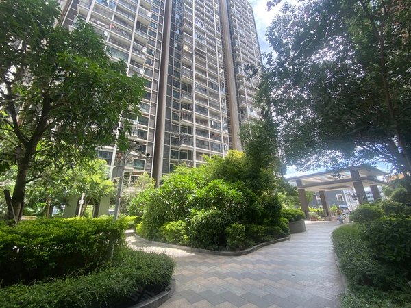 深圳宝安沙井中泰国际沙井中泰国际3房2厅2卫出租出租房源真实图片