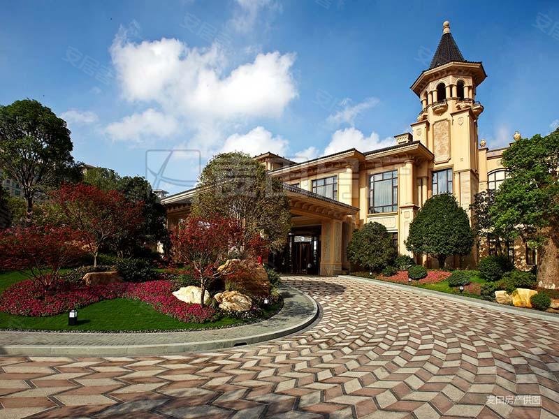 超低密度 带电梯 高楼层视野好 南北通透 满五,星河湾畅园二手房,2250