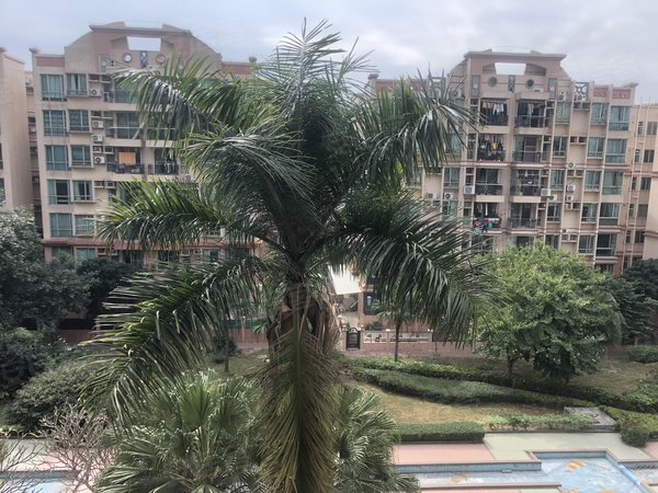 东莞樟木头东城广场御景花园御景 朝南朝园景 全新靓家私家电 3室