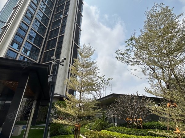 深圳南山大学城远洋天著华府远洋天著华府 4室2厅2卫 精装修 南北通透