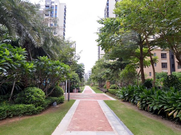 怀德峰景朝南三房两卫 安静舒适 空房出租,宝安租房-深圳58安居客