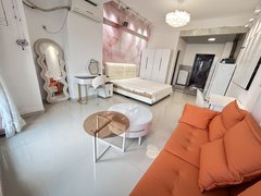 合肥蜀山肉联厂大唐国际,洪岗,豪装一室,民用水电,华地公馆,港汇广场可月付出租房源真实图片