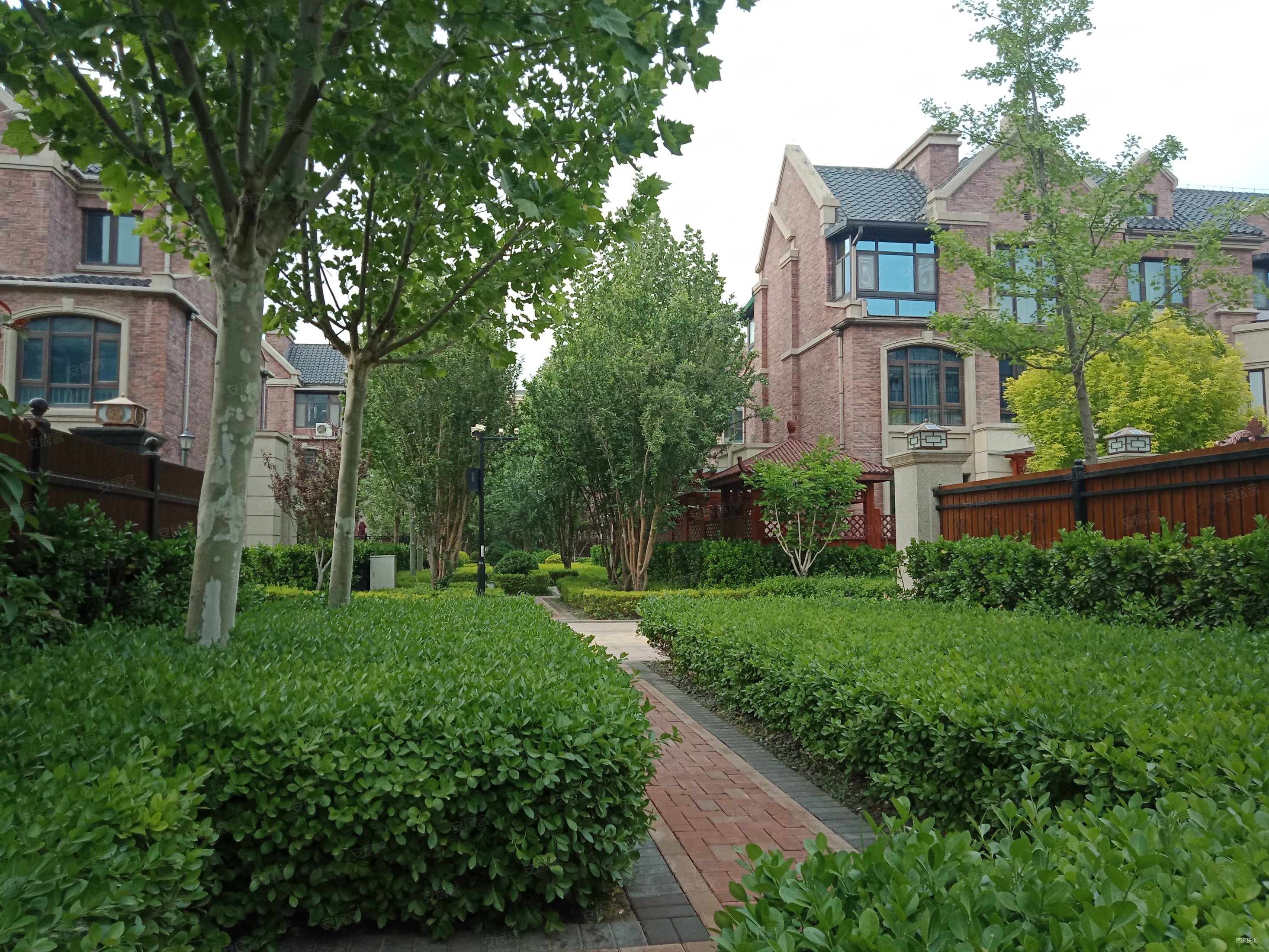 雍鑫建设红星华府别墅高档小区绿化环境优美 随时看房,雍鑫红星华府