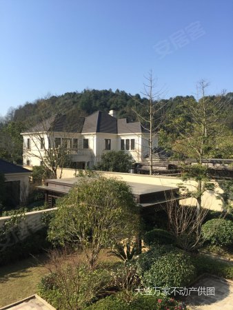 同升湖临湖独栋别墅 花园600平 产权面积715平