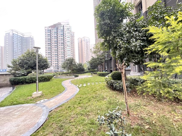 【多图】煌华晶萃城,观音桥租房,新出 观音桥步行街 煌华晶萃城精装一