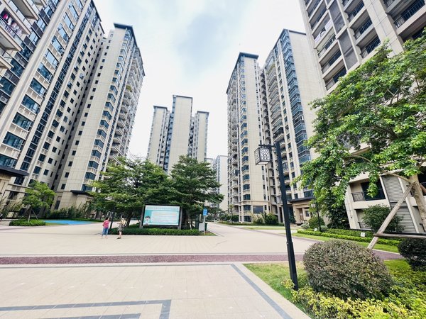 广州番禺大石碧桂园藏珑府实拍图 高端住宅小区高层南向4居室 闺蜜