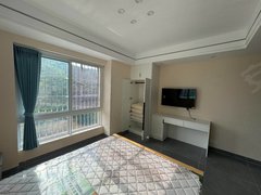 攀枝花仁和仁和城区仁和上城精装一室出租,700月,采光通风好出租房源真实图片