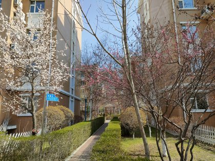 金钻第一城,乌兰大街3341号(旧:沿江街) - 松原金钻第一城二手房,租房