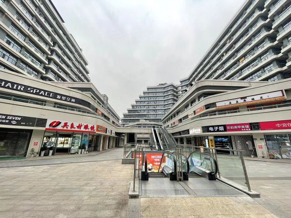 杭州西湖转塘奥莱金街六号线霞鸣街 整租loft两室一厅一卫 成熟奥莱