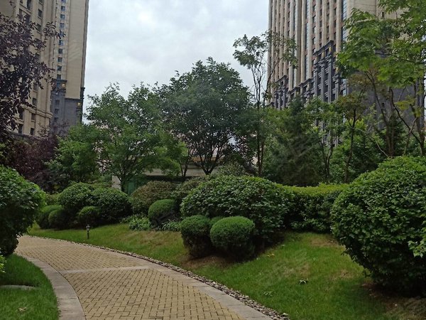 沈阳浑南白塔堡华发全运首府新南站华发四季挨着体育学院3室自己家