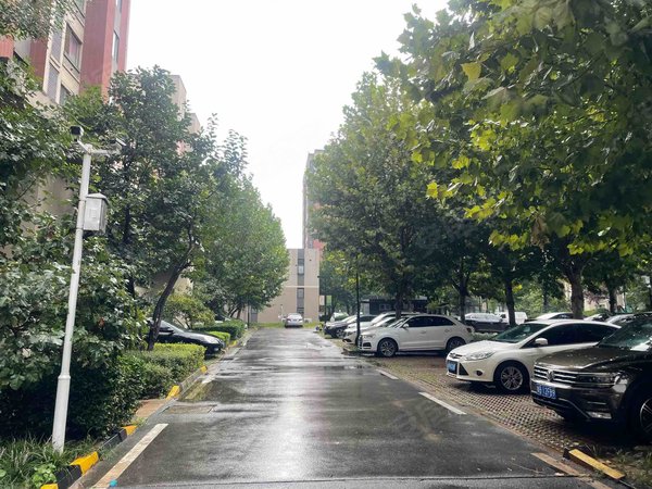 青岛城阳实验二小万科春阳花园实验中学 万科春阳花园 1室1厅1卫 精